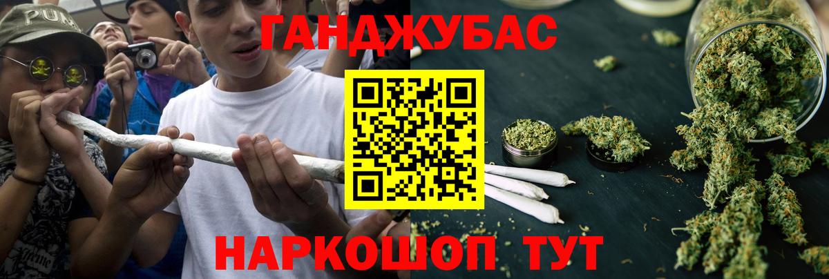 Бошки Шишки марихуана  Вход с VPN  Конопля Bruce Banner  Канабис планчик  Конопля планчик  Грязи 